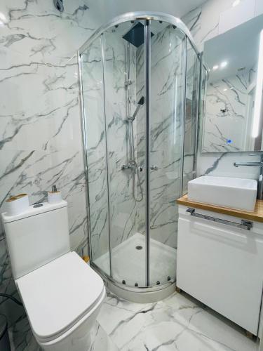 La salle de bains est pourvue d'une douche, de toilettes et d'un lavabo. dans l'établissement Apartamento cerca Plaza Mayor, à Madrid
