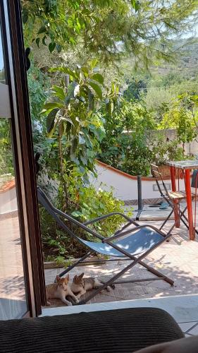 two cats laying on a chair outside a window at CASETTA RAFFO in Castellabate