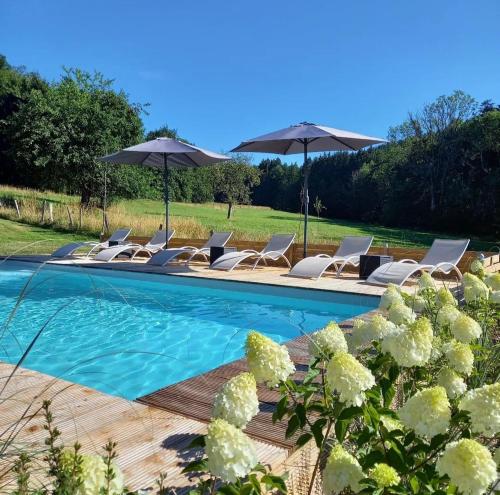 a swimming pool with lounge chairs and umbrellas at Le Clos du Cerf - Le Sous-bois in Stoumont