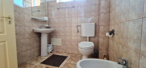 een badkamer met een toilet en een wastafel bij Vila Europa in Cluj-Napoca