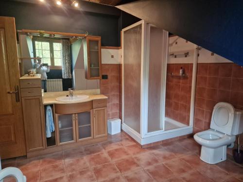 a bathroom with a toilet and a sink and a shower at Lizuniaga in Bera