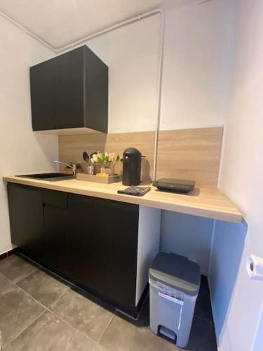 une petite cuisine avec un comptoir et un évier dans l'établissement Le Charmant Studio Troyen, à Troyes