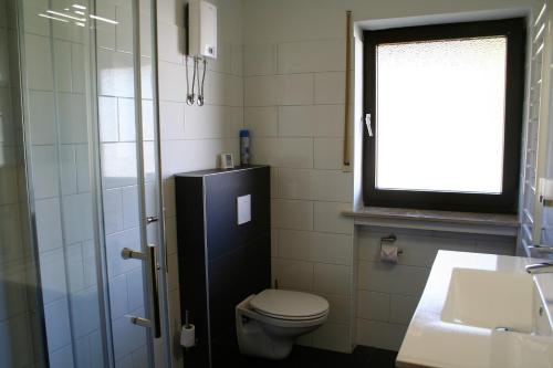 a bathroom with a toilet and a sink and a window at Auf der Platte 2 in Winterberg