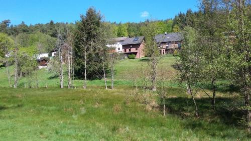 a house on a hill in a field with trees at Appartement Spatzennest in Mossautal