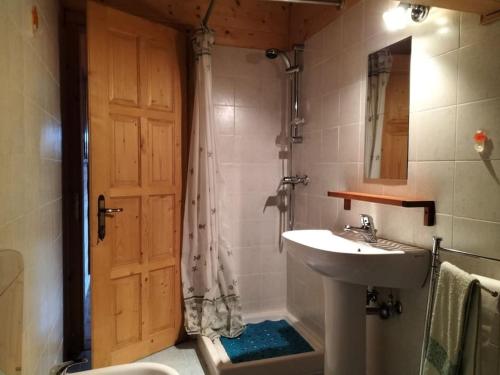 łazienka z prysznicem, umywalką i drzwiami w obiekcie Apuan Sunset Apartment w mieście Careggine