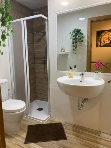 La salle de bains est pourvue d'une douche, d'un lavabo et de toilettes. dans l'établissement Villa turmero, à Puerto del Rosario