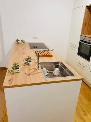 a kitchen counter with a sink and a stove at Leon 3 wunderschönes neues Apartment in Linz