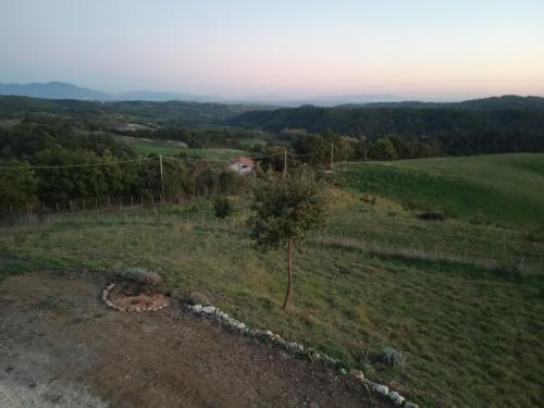 an aerial view of a field with a tree at Agriturismo Il cielo in terra in SantʼOreste