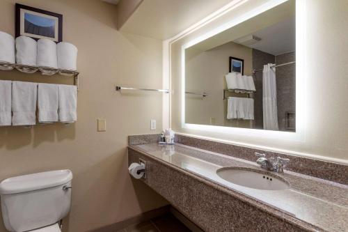 a bathroom with a sink and a toilet and a mirror at Comfort Suites Houston near Medical Center- NRG Stadium in Houston