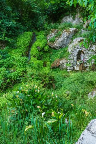 a garden with green plants and a stone wall at Sorrento Tower in Sorrento