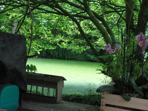 a bird sitting on a bench next to a body of water at B&B Hedera in Herne