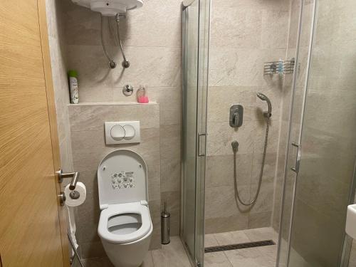 a bathroom with a shower and a toilet with a glass door at شقة نهر اليجا in Sarajevo