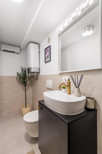une salle de bain avec un lavabo, des toilettes et un miroir dans l'établissement Grota apartment in the center 2, à Rijeka