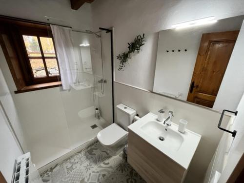 y baño con lavabo, aseo y espejo. en la Caseta Boi Taull - 2 habitaciones, en Pla de l'Ermita