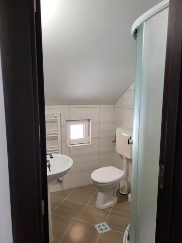een badkamer met een toilet en een wastafel bij Casa Berbece in Moieciu de Jos
