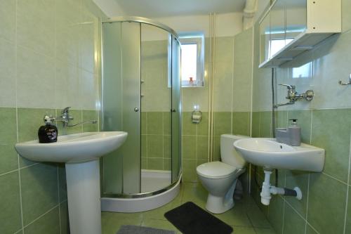 a bathroom with a sink and a toilet and a shower at Turistická ubytovňa u Frajta in Telgárt