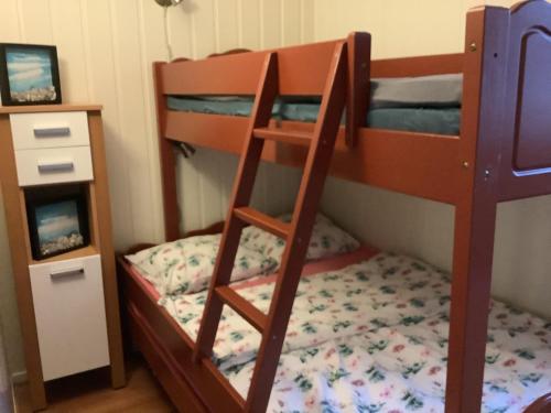 a bunk bed with a ladder next to a bunk bed at Torill`s Apartment in Kragerø