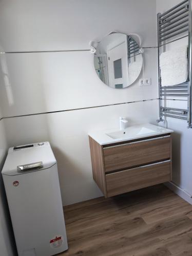 サラゴサにあるEmpresas parking gratisの洗面台と鏡のあるバスルーム