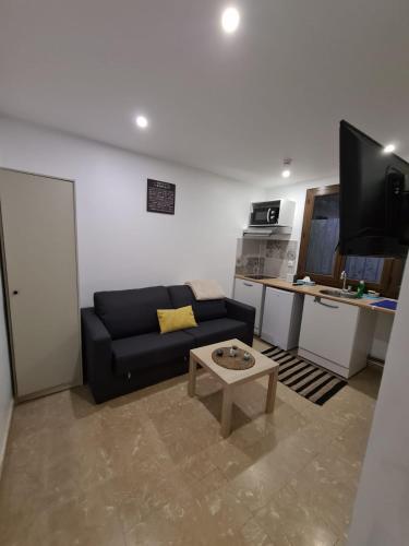 un salon avec un canapé et une table basse dans l'établissement Studio bien équipé et indépendant avec véranda commune, à Neuilly-sur-Marne