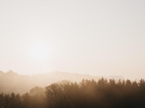 a foggy field with trees in the background at Das Dietrich - Landhaus 58 in Leibnitz