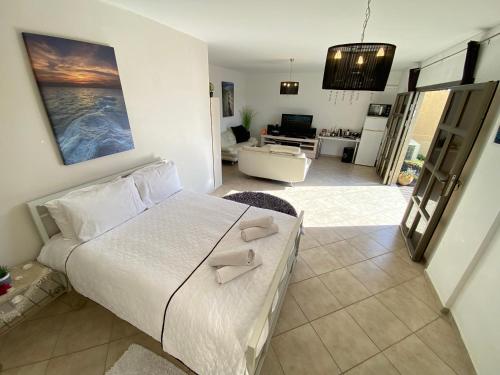 阿拉德的住宿－Desert Pearl Arad，一间卧室设有一张床和一间客厅。