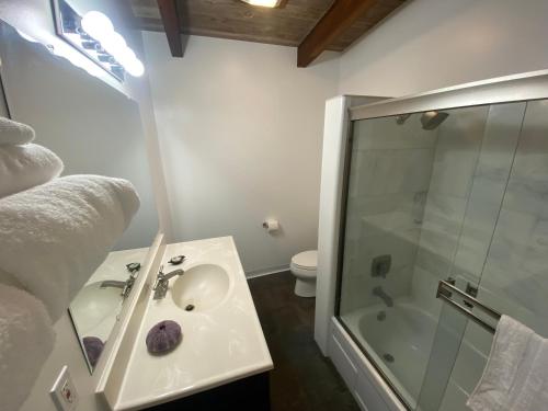 a bathroom with a sink and a shower and a toilet at Pacific Sands Vacation Home in Fort Bragg