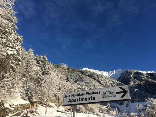 Seia Mountain Wellness – Photos 2