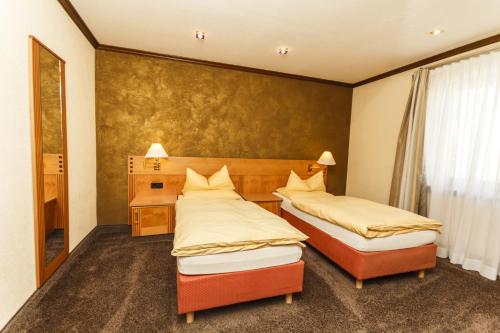 a bedroom with two beds and a window at Rebgarten Hotel Adler in Pfullendorf