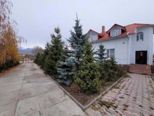 a group of christmas trees in front of a house at Ай-Ас in Cholpon-Ata
