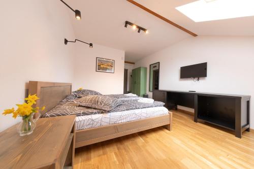 a bedroom with a bed and a desk at Castor in Harghita-Băi