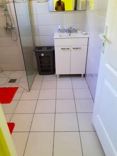 a white bathroom with a sink and a shower at Appartement de 2 chambres avec balcon et wifi a Sainte Marie a 6 km de la plage in Sainte-Marie