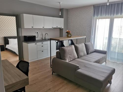 a living room with a couch and a kitchen at Apartament incantator Iasi Copou in Iaşi