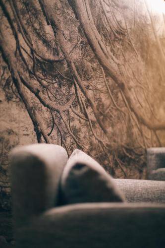 Fotografie z fotogalerie ubytování Maison Farinet v destinaci Saint-Rhémy-en-bosses