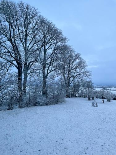 a field covered in snow with trees in the background at Roslövs gård lantligt boende i Flyinge nära Lund och Malmö in Flyinge