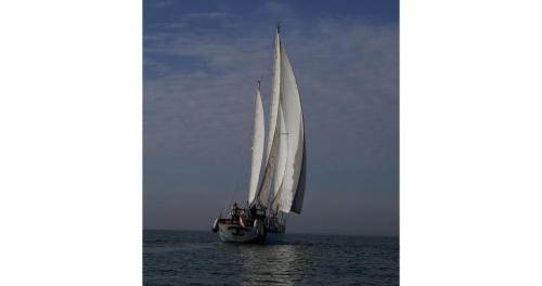 a sail boat with white sails in the ocean at Classic sailing ship in center of Enkhuizen! in Enkhuizen
