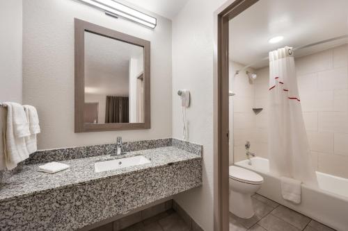 a bathroom with a sink and a toilet and a mirror at Red Roof Inn Birmingham South in Birmingham