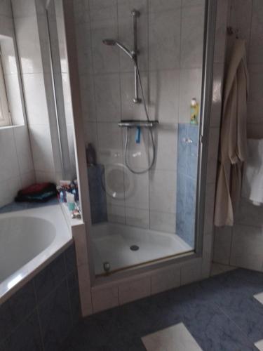uma casa de banho com um chuveiro e uma porta de vidro em Bed en Breakfast met patio en kippen em Thorn
