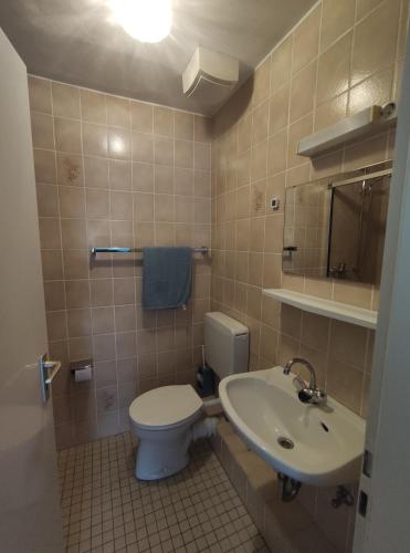 łazienka z toaletą i umywalką w obiekcie Gasthaus L&A Kunz w mieście Dümpelfeld