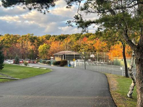 a road in a park with a building and trees at Cheerful Pocono home away from home in Albrightsville