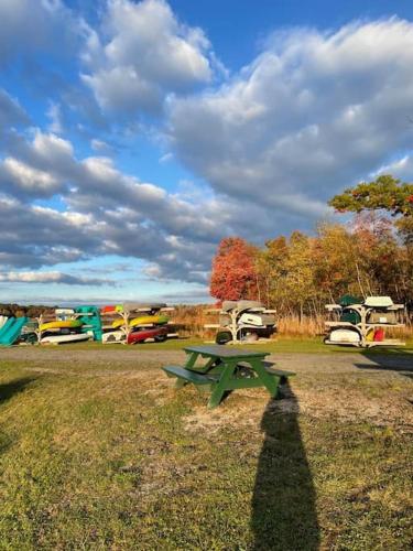 a green picnic table in front of a bunch of old trucks at Cheerful Pocono home away from home in Albrightsville