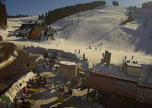 a group of people in the snow on a ski slope at Traumharz in Sankt Andreasberg
