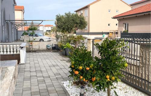 Amazing Apartment In Biograd Na Moru With Wifi