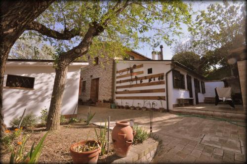 a house with a tree in front of it at Casa Civetta in Castel Colonna