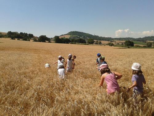 a group of children walking through a field at Casa Civetta in Castel Colonna
