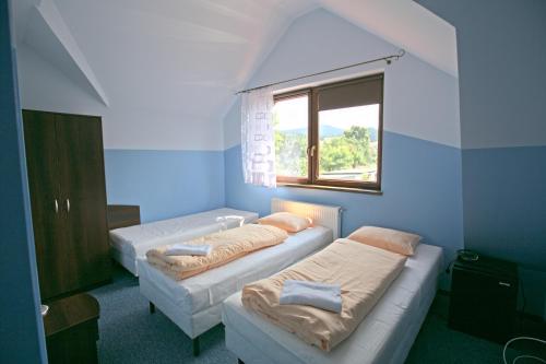 two beds in a blue room with a window at Pensjonat Lew Jaskiniowy in Stronie Śląskie