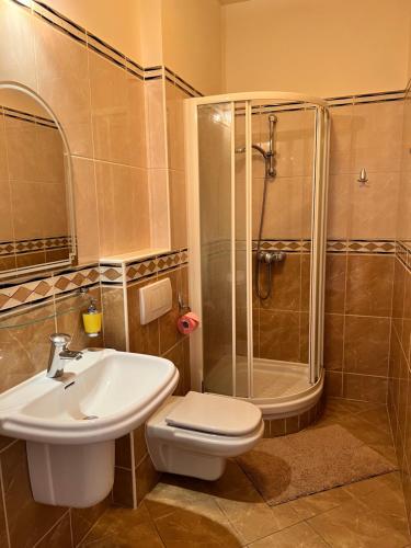 y baño con ducha, aseo y lavamanos. en Party Villa Holiday Rent Balatonfoldvar, en Balatonföldvár