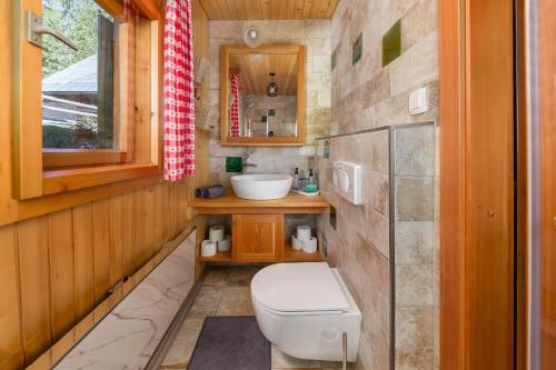a bathroom with a toilet and a sink at Chalet Trzinka - Triglav National Park in Goreljek