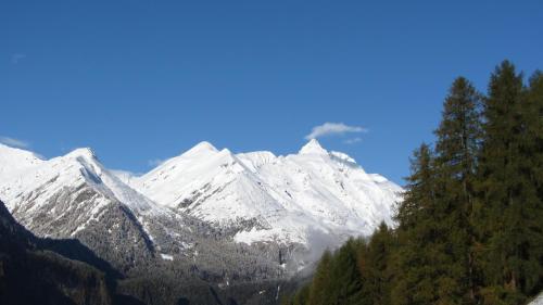 a snow covered mountain with trees in front of it at Appartement Seppenbauer - Seppenbauerhof in Heiligenblut