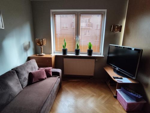 Televízia a/alebo spoločenská miestnosť v ubytovaní Classic Apartament Metro Kabaty