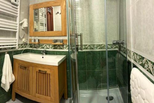 ein Bad mit einem Waschbecken und einer Dusche in der Unterkunft APARTAMENTO JUNTO A CATEDRAL in Granada
